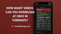 How Many Videos Can You Download at Once in TubeMate?