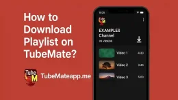 How to Download Full Playlist on TubeMate?
