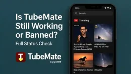 Is TubeMate Still Working or Banned? Full Status Check