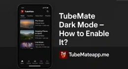 TubeMate Dark Mode – How to Enable It?
